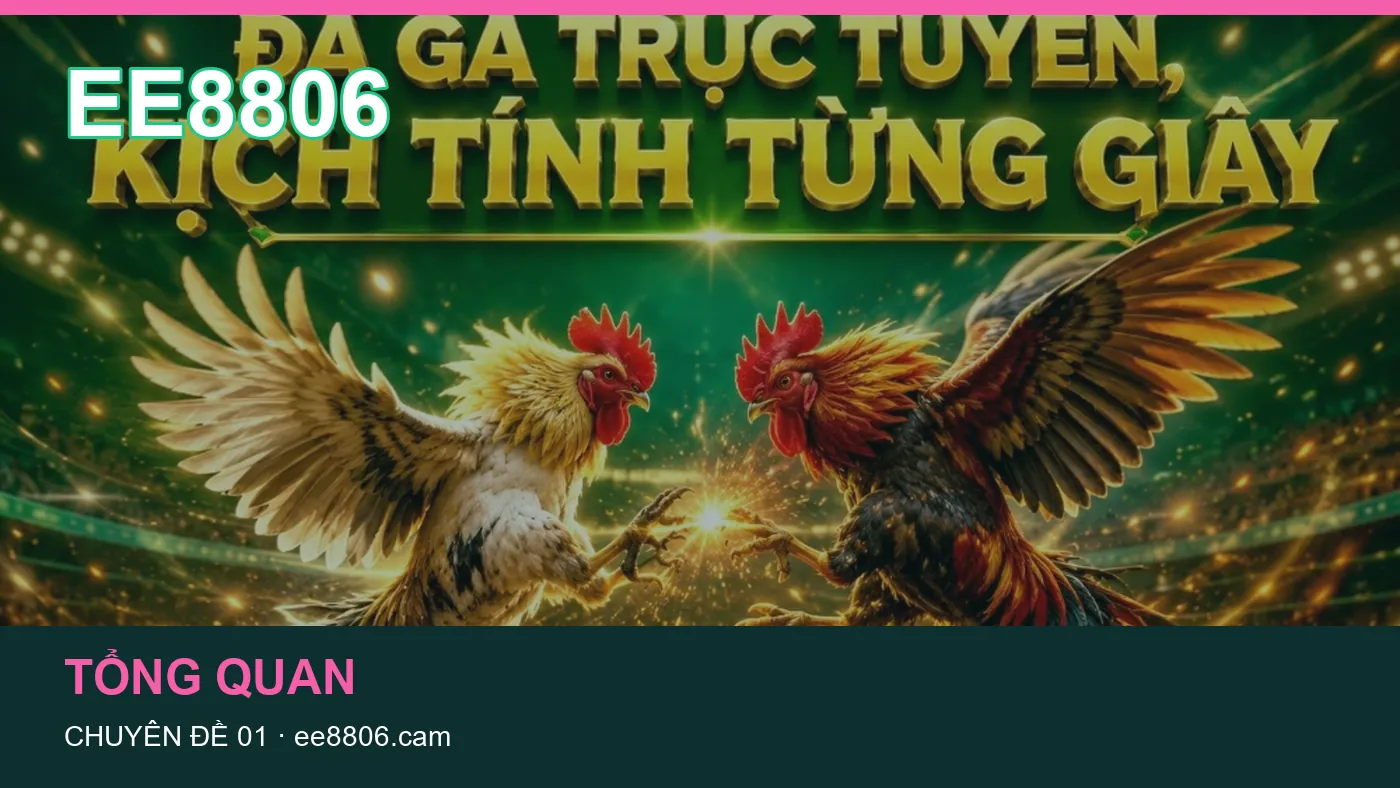 Hỏi đáp về Truy cập: quy trình tự kiểm tra trên EE8806